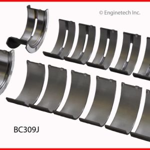 Enginetech BC309J Bearing Set - Main
