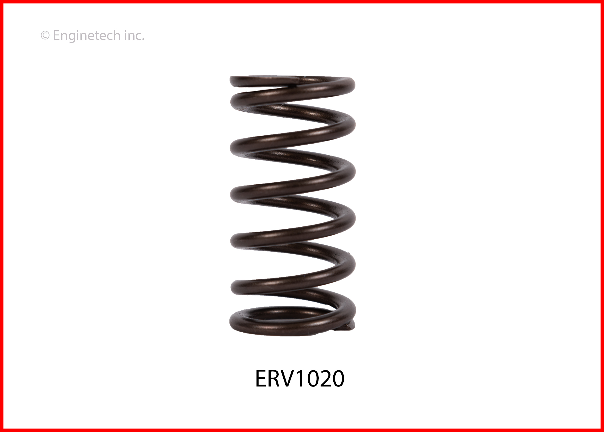 Enginetech ERV1020 Valve Spring