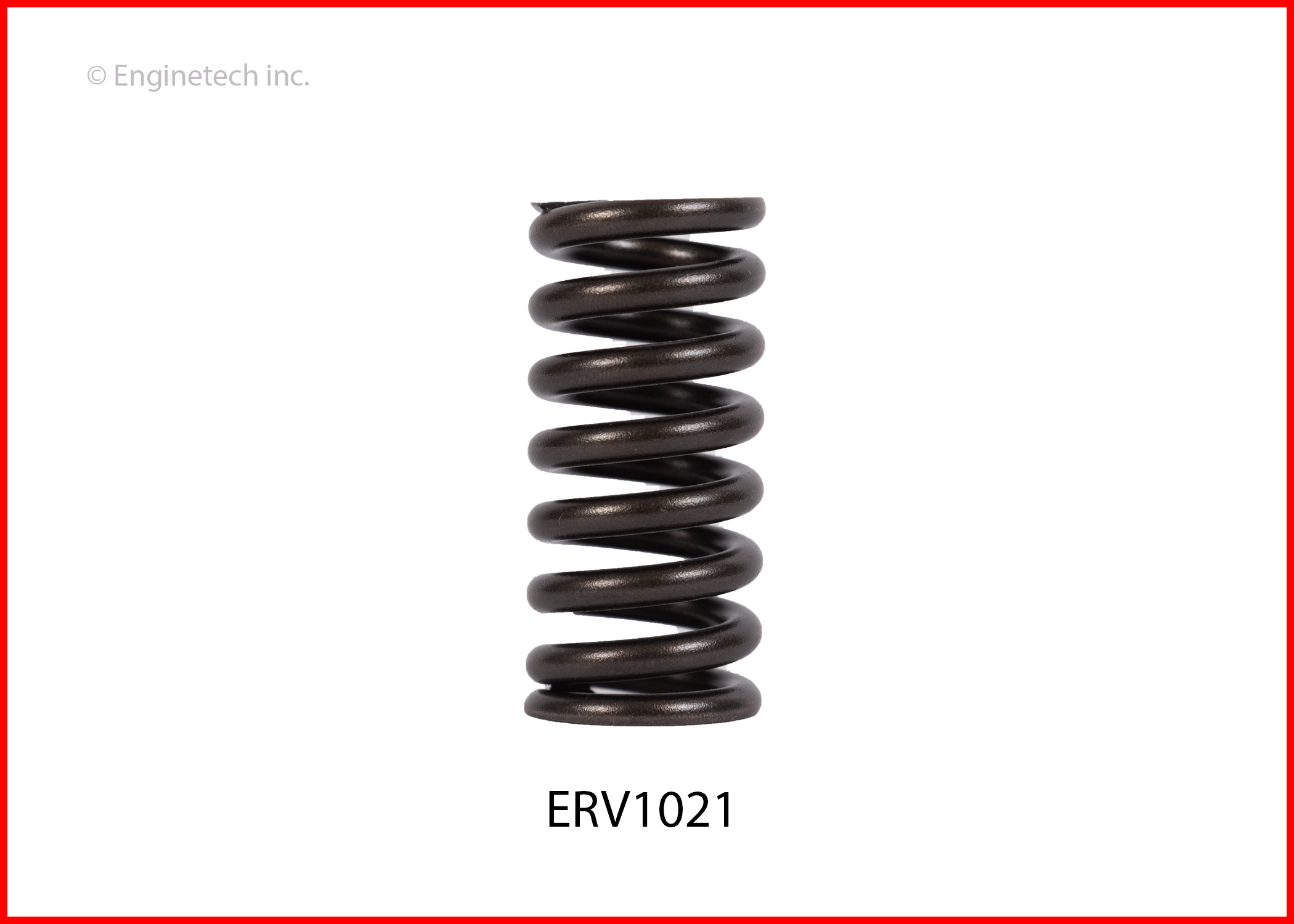 Enginetech ERV1021 Valve Spring