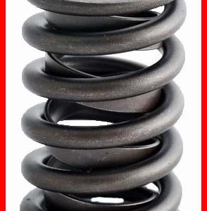 Enginetech ERV1038 Valve Spring - Set of 4