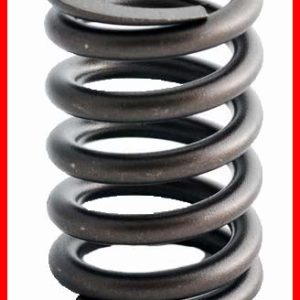 Enginetech ERV1082 Valve Spring - Set of 4