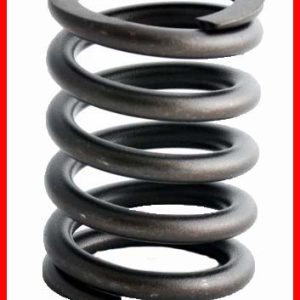 Enginetech ERV1086 Valve Spring - Set of 4