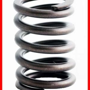 Enginetech ERV1258 Valve Spring - Set of 4