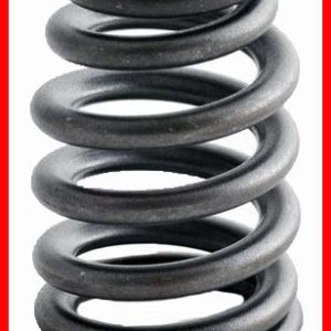 Enginetech ERV1265 Valve Spring - Set of 4