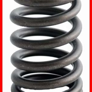 Enginetech ERV1378 Valve Spring - Set of 4
