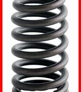 Enginetech ERV1568 Valve Spring - Set of 4