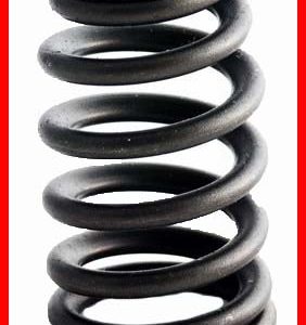 Enginetech ERV1588 Valve Spring - Set of 4