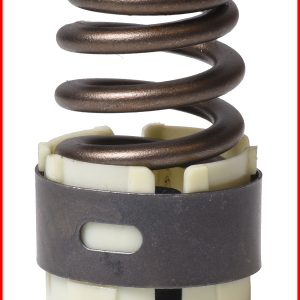 Enginetech ERV1609 Valve Spring - Pack of 4