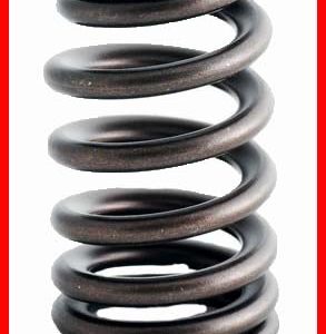 Enginetech ERV1612 Valve Spring - Set of 4