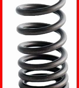 Enginetech ERV1615 Valve Spring - Set of 4