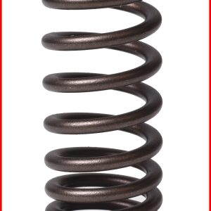 Enginetech ERV1631 Valve Spring - Pack of 4
