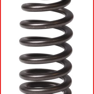 Enginetech ERV1666 Valve Spring - Pack of 4