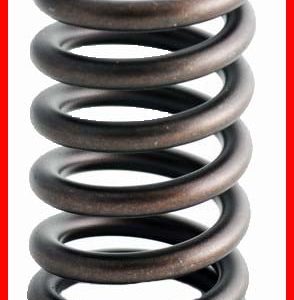 Enginetech ERV1680 Valve Spring - Set of 4