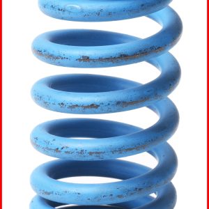 Enginetech ERV2023 Valve Spring - Pack of 4