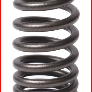 Enginetech ERV2025 Valve Spring - Pack of 4