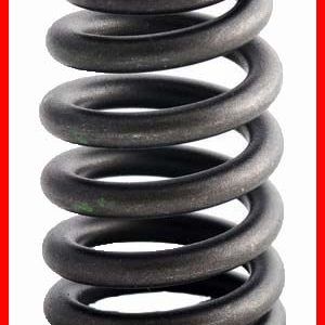 Enginetech ERV2212 Valve Spring - Set of 4
