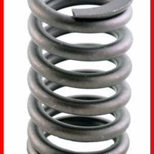 Enginetech ERV2215 Valve Spring - Set of 4