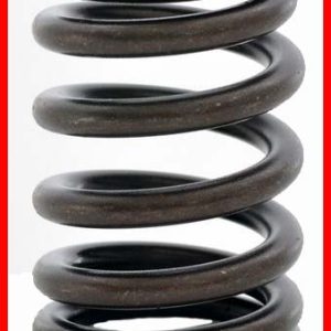Enginetech ERV2225 Valve Spring - Set of 4