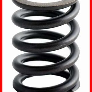 Enginetech ERV2302 Valve Spring - Set of 4