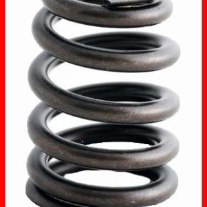 Enginetech ERV2476 Valve Spring