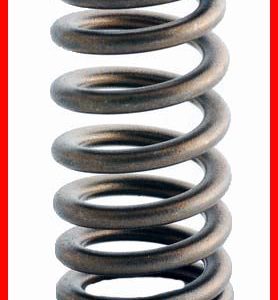 Enginetech ERV2487 Valve Spring