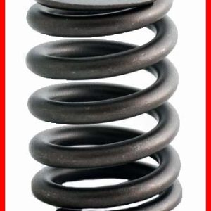 Enginetech ERV3510 Valve Spring - Set of 4