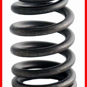 Enginetech ERV3517 Valve Spring - Set of 4
