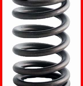 Enginetech ERV3557 Valve Spring - Set of 4