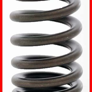 Enginetech ERV3598 Valve Spring - Set of 4