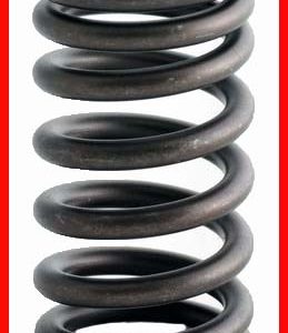 Enginetech ERV619 Valve Spring - Set of 4