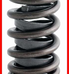 Enginetech ERV685 Valve Spring - Set of 4