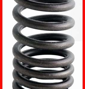 Enginetech ERV709 Valve Spring - Set of 4
