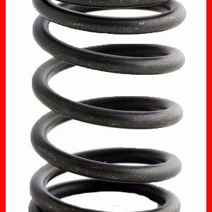 Enginetech ERV765 Valve Spring - Set of 4