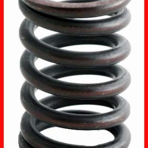 Enginetech ERV797 Valve Spring - Set of 4