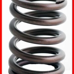 Enginetech ERV807 Valve Spring - Set of 4