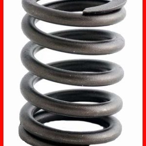Enginetech ERV812 Valve Spring - Set of 4