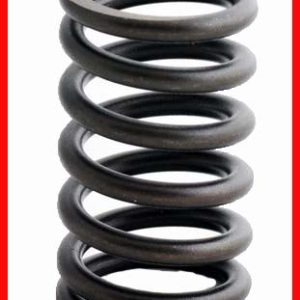 Enginetech ERV813 Valve Spring - Set of 4