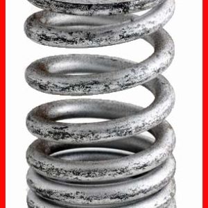 Enginetech ERV816 Valve Spring - Set of 4
