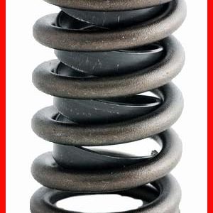 Enginetech ERV880-100 Valve Spring