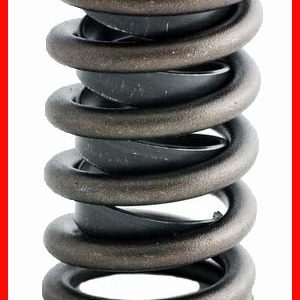 Enginetech ERV880 Valve Spring - Set of 4