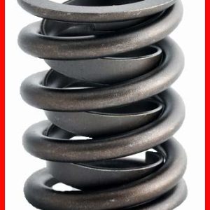 Enginetech ERV901 Valve Spring - Set of 4