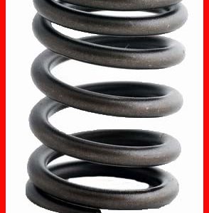 Enginetech ERV923 Valve Spring - Set of 4