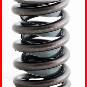 Enginetech ERV943-100 Valve Spring
