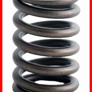 Enginetech ERV991 Valve Spring - Set of 4
