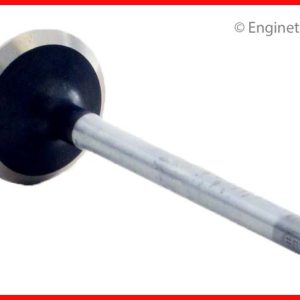 Enginetech V4361 Valve - Exhaust