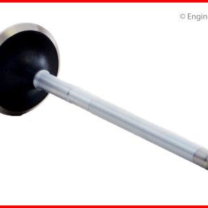 Enginetech V4383 Valve - Exhaust